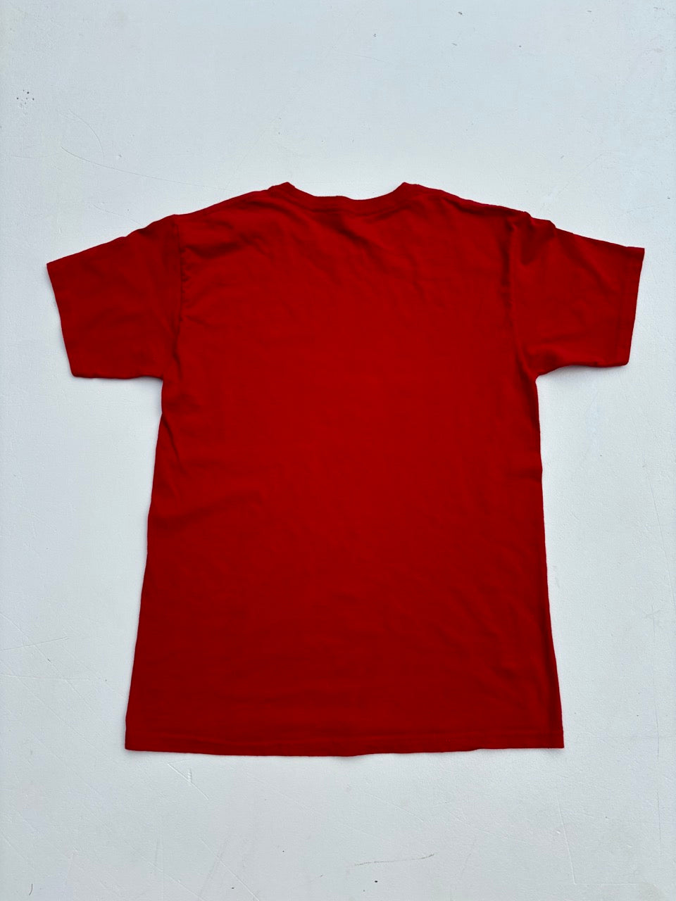 Niagara Falls Red Graphic Tshirt (L)