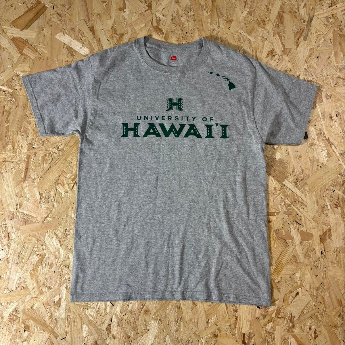 Hanes University of Hawaii grey graphic print tshirt M